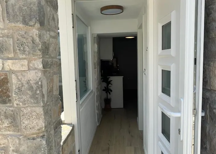 Balatura House *